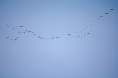 Similar image 21807978