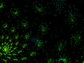 Similar image 21811246