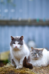 Similar image 21807990