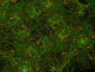 Similar image 21812797