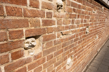 Similar image 21808184