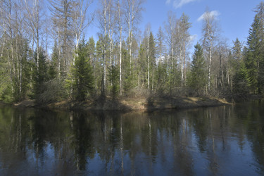 Similar image 21808271