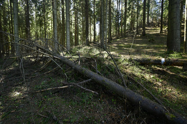 Similar image 21808272