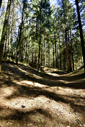 Similar image 21808273