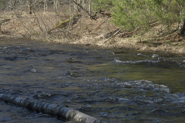 Similar image 21808276