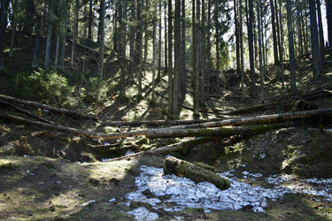 Similar image 21808277