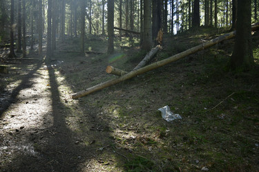 Similar image 21808282