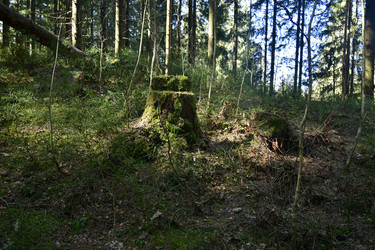 Similar image 21808285