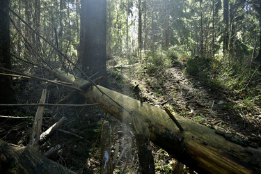 Similar image 21808286