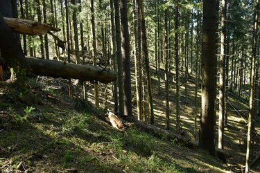 Similar image 21808287