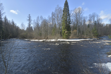 Similar image 21808288