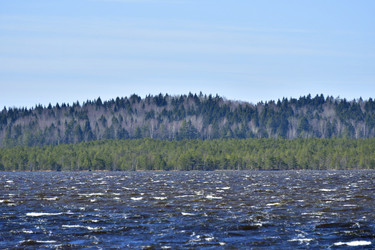 Similar image 21808289