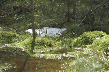 Similar image 21808293