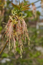 Similar image 21808600