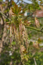 Similar image 21808602