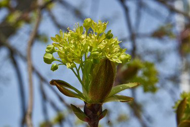 Similar image 21808603