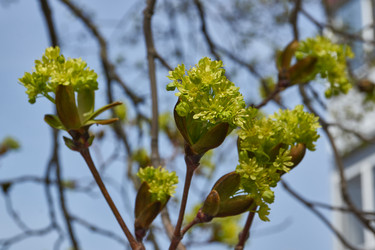 Similar image 21808604