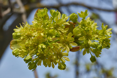 Similar image 21808606