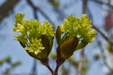 Similar image 21808607