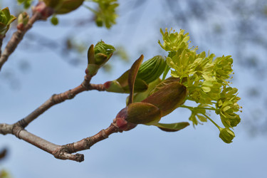 Similar image 21808608