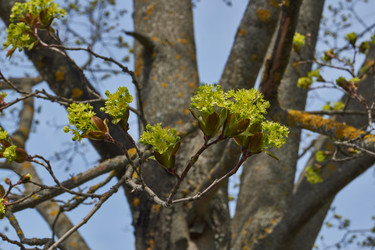 Similar image 21808609