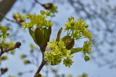 Similar image 21808610