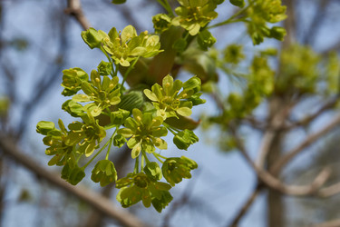 Similar image 21808613