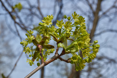 Similar image 21808615