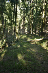 Similar image 21808294