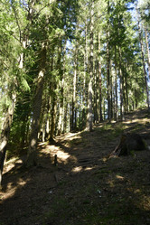 Similar image 21808295