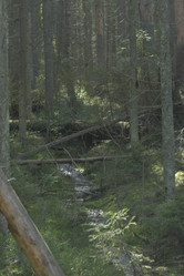 Similar image 21808296