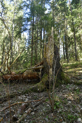 Similar image 21808297