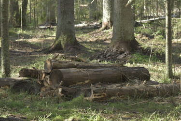 Similar image 21808298