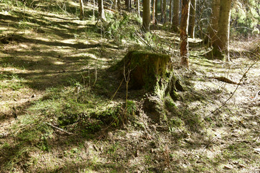 Similar image 21808299