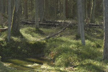 Similar image 21808300