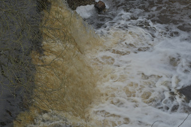 Similar image 21808301