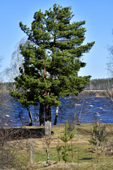 Similar image 21808302