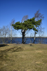 Similar image 21808304