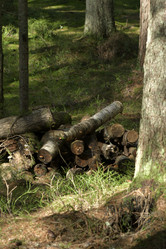 Similar image 21808306