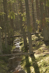 Similar image 21808307