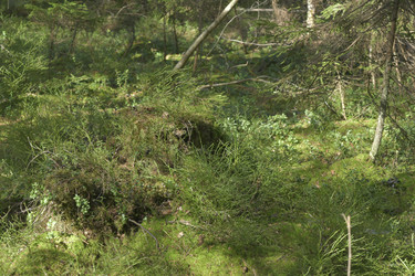 Similar image 21808308