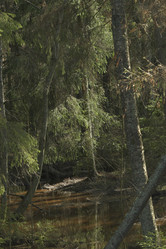 Similar image 21808311