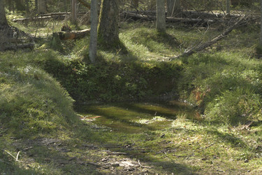 Similar image 21808312