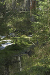 Similar image 21808314