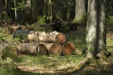 Similar image 21808316