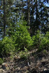 Similar image 21808317