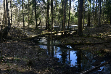 Similar image 21808462