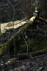 Similar image 21808463