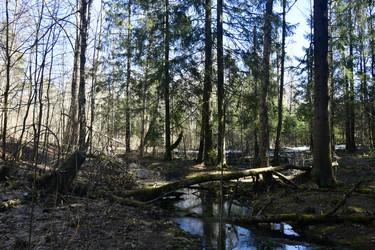 Similar image 21808190