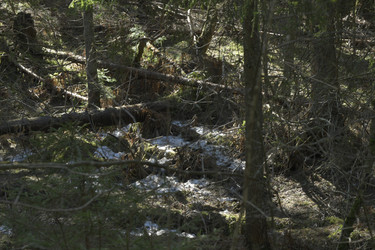 Similar image 21808191